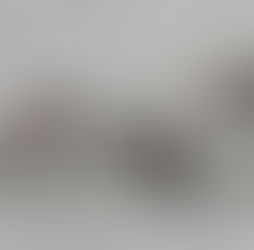 On The Trails: Auke Bay Harbor in February