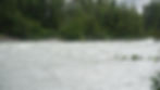 The Mendenhall River nears the official flood stage on Monday, Aug. 11, 2025. (Ellie Ruel / Juneau Independent)