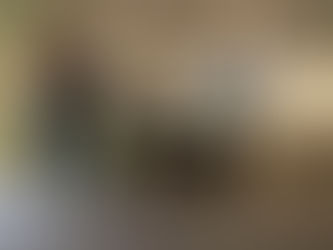 City priorities: Another sad tale at the city museum