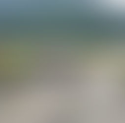 Housing, housing, housing