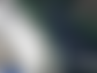 One dead in an avalanche north of Haines near Canadian border 