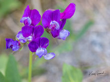 On The Trails: Summer is here