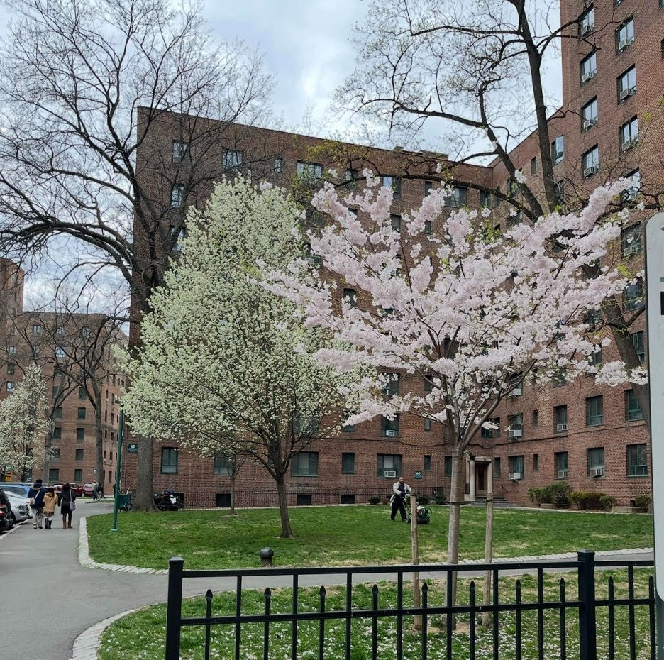 Emergency housing vouchers are ending early, leaving cities and renters scrambling