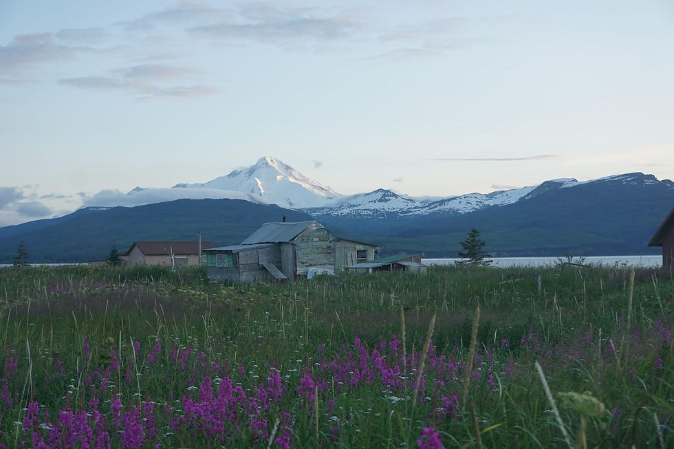 Mount Iliamna, a volcano in Lake Clark National Park, rises above Tuxedni Bay and a commercial fish camp on Chisik Island. (Max Graham/Northern Journal)