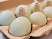 Eggs for Easter cost much less in the US than last year. A look at the numbers
