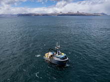 Commission again sets Pacific halibut harvest at rock-bottom levels amid US-Canada tensions