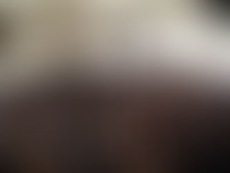 Alaska among most competitive state legislative races in US, analysis finds