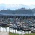 Huna Totem Corp. interested in Haines cruise ship dock
