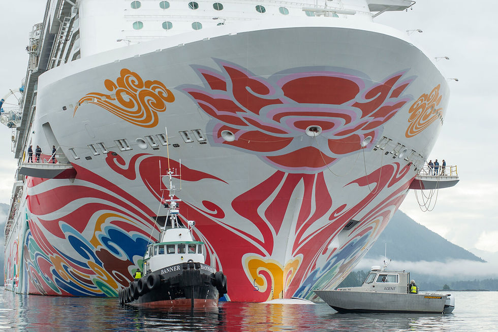 Fin whale struck by cruise ship in Sitka Sound