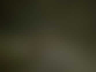 A year after buying it, American Pacific sells the Palmer Project