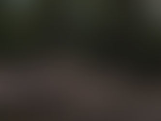 Defying trend, two new forestry staff could be headed to Haines