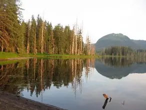 Petersburg mill wins 5-year Forest Service contract to log at Thomas Bay