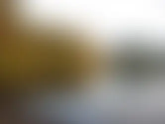 Petersburg mill wins 5-year Forest Service contract to log at Thomas Bay