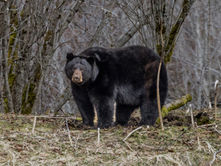 On The Trails: Spring has sprung