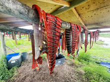 Federal appeals court preserves Alaska’s two-tier system for subsistence fishing management