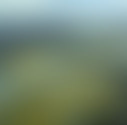 Alaska officials step toward wider oil and gas exploration on state land near Yukon River