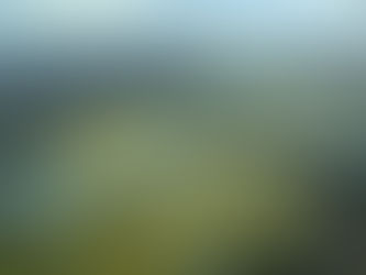 Alaska officials step toward wider oil and gas exploration on state land near Yukon River