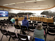 Assembly deadlocks 4-4 on allowing public comment at more meetings