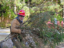The Tongass needs a legislative exemption from the Roadless Rule