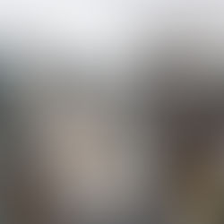 Alaskan Dream Cruises shuts down after 15 years in Southeast Alaska