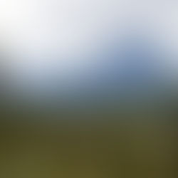 Lawsuit targets Trump administration action opening 2.1 million acres in Alaska to development