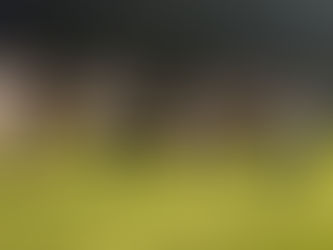 JDHS battles South Anchorage even to the end, loses 29-28 on 2-point conversion by visitors in final seconds