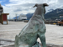 Dogging the docks: Patsy Ann still watches for ships