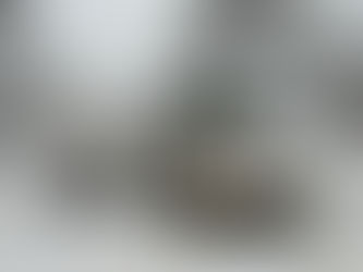 With more heavy snow falling, some Juneau residents push city to declare December's record storm a disaster