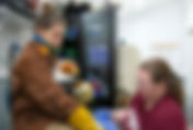 Ailing eagle goes to  Alaska Raptor Center in Sitka for rehab