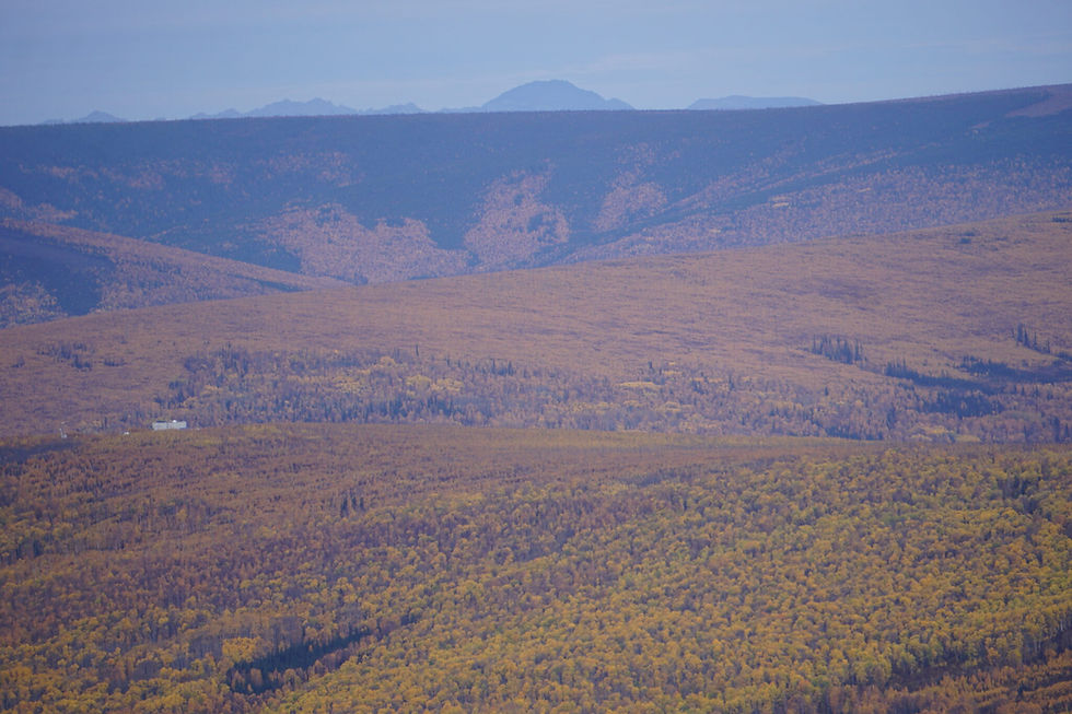 A wide expanse of boreal forest, dotted by a few buildings. is seen on Sept. 18, 2022, from a hillside above the Steese Highway leading out of Fairbanks. (Yereth Rosen/Alaska Beacon)