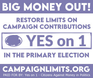 Yes on 1 - 300x250 disclaimer.jpg