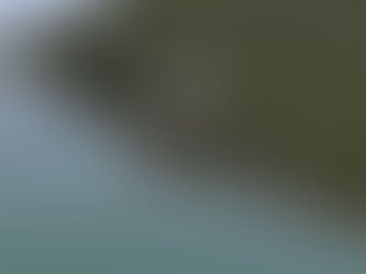 A developing situation on Douglas Island: Powerful dreams and powerless feelings