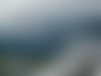 Heavy fuel ban for ships among about 80 bills introduced on final day for individual legislation