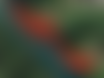 Update: Avalanche advisory issued as downtown gets a foot of snow as of 2 p.m. Monday; 4-10" more forecast