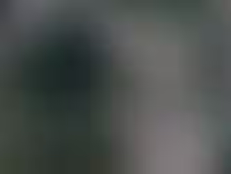 New shelter site for Juneau Animal Rescue at $10/yr. OK’d by Assembly