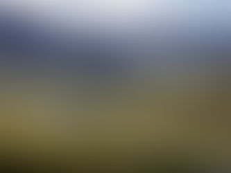 Trump administration to remove decades-old protections from Interior Alaska land