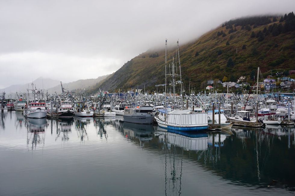 Low clouds hang over Kodiak's St. Paul Harbor on Oct. 3, 2022. A Coast Guard response to a distress call from a fish tender sinking in the Kodiak harbor led to the discovery that oily bilge water was being discharged from the vessel, in violation of the Clean Water Act. (Yereth Rosen/Alaska Beacon)