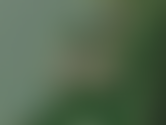 Wrangell takes step forward toward developing deepwater port