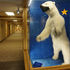 COVID still sickens Alaskans, but effects are muted and the death toll continues to drop