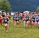 JDHS harriers face stiff winds at Region V championships