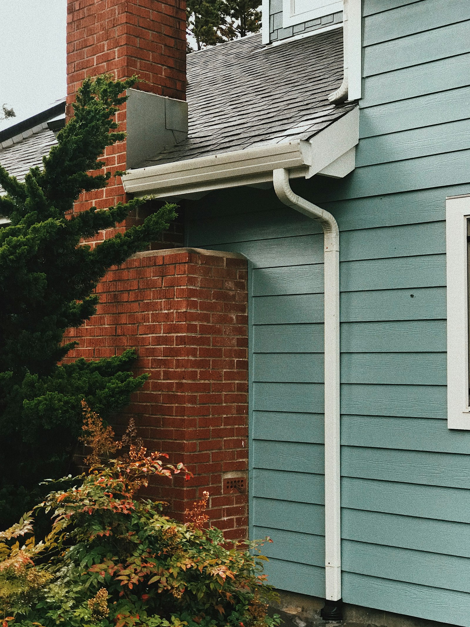 Home exterior with sun-warmed siding and roofline where cluster flies gather in fall