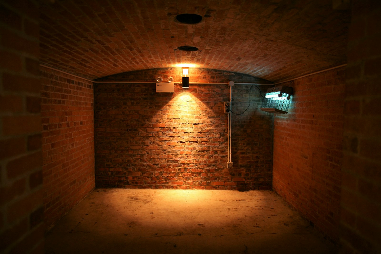 Dim basement brick wall where camel crickets hide