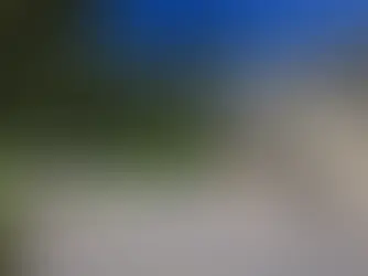 front yard curb appeal with pavers highlighting a light-colored driveway and landscaped lawn.