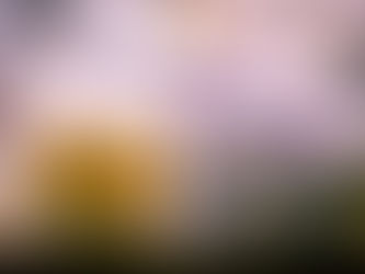 Managing stress like money