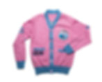 Thumbnail: Letterman Cardigan