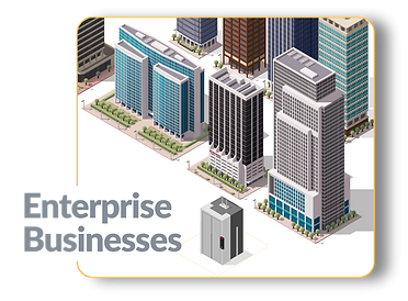 Enterprise Businesses