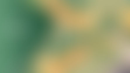 All the Joys of Home - Retirement Facility Case Study