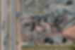 DJI_0420.jpg