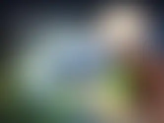 Ultimate Guide to Energy-Efficient Home Upgrades: Room-by-Room Priorities, Costs, and Rebates