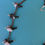 Thumbnail: Roadrunner Fetish Necklace by Matt Mitchell